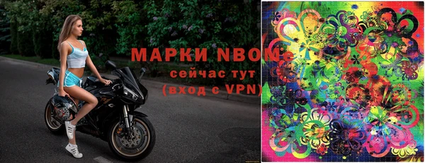 крисы Арсеньев